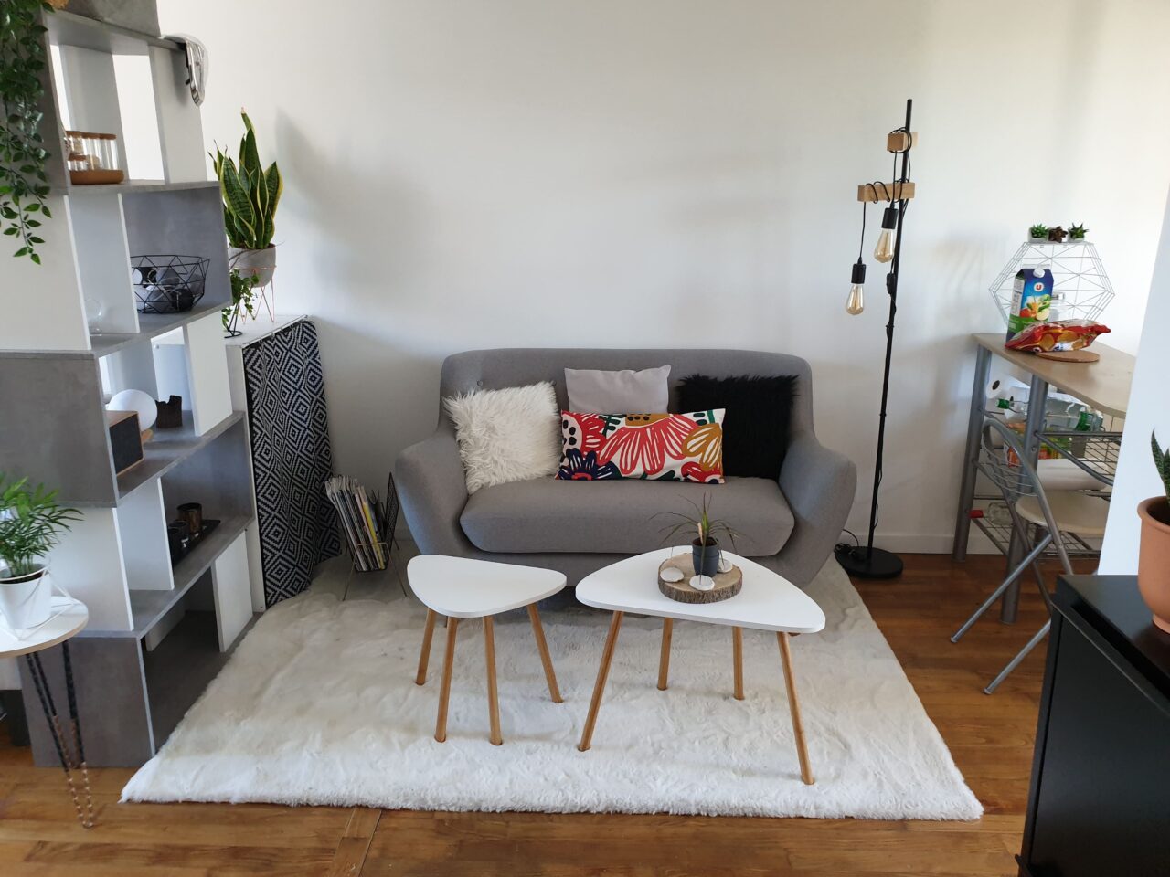 Visuel bien immobilier